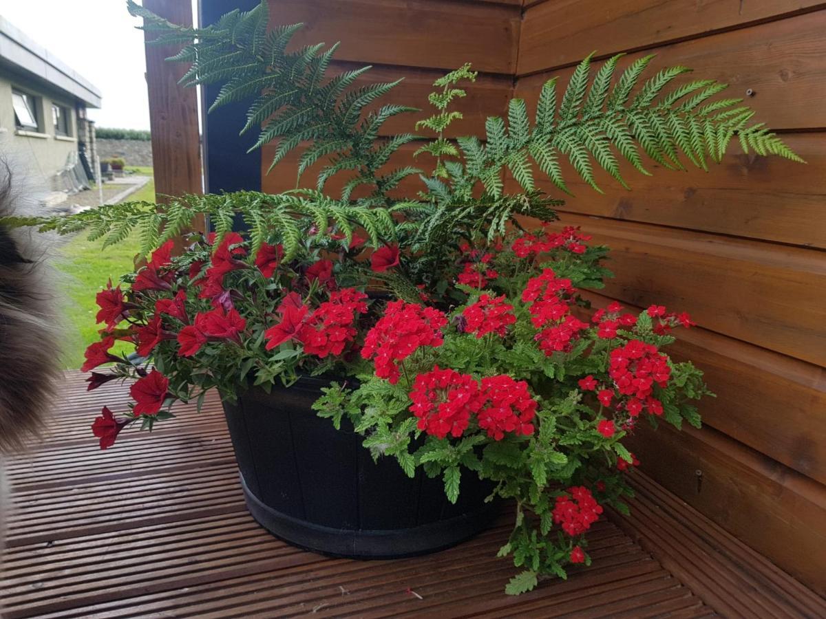 Glamorous Glamping Belmullet Exteriör bild